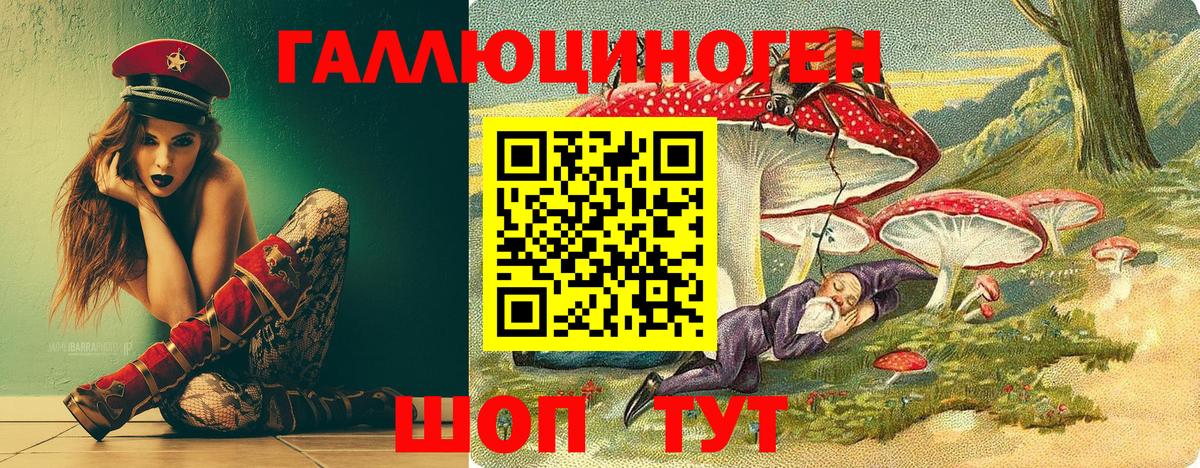 Псилоцибиновые грибы Cubensis  Вход с VPN  Буйнакск 