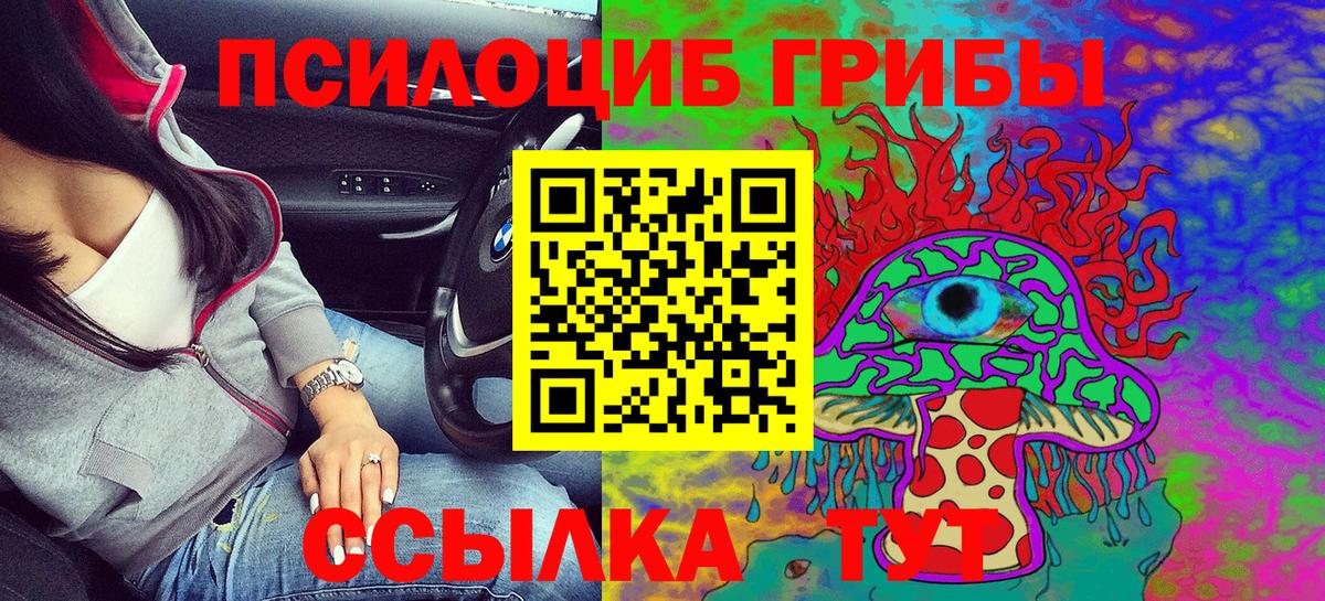 Псилоцибиновые грибы GOLDEN TEACHER Буйнакск